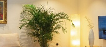 Vacation home Fringaluna with private pool in Übersee am Chiemsee