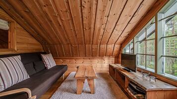 Älytelevisio, takka