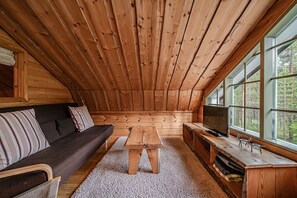 TV connectée, cheminée