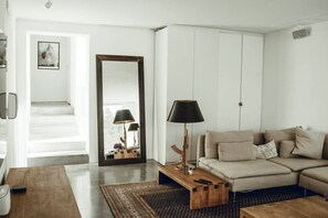 TV connectée, cheminée, livres, médiathÚque