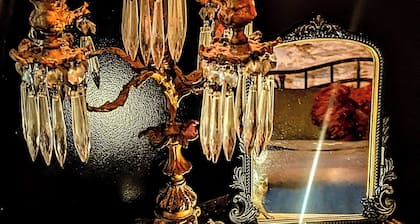 Whimsical Witch's Coven in the heart of Uptown Saint John ( Free Parking!)