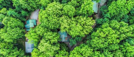 An aerial view of a forested area with several buildings, including a house with a green roof and a small structure with a blue roof.