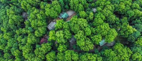 An aerial view of a forested area with a small cluster of buildings, likely a resort or lodge.