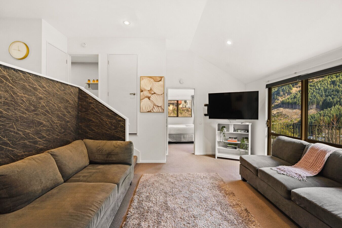 Smart TV, fireplace, books