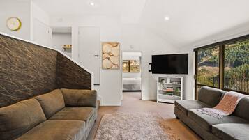 Smart TV, fireplace, books