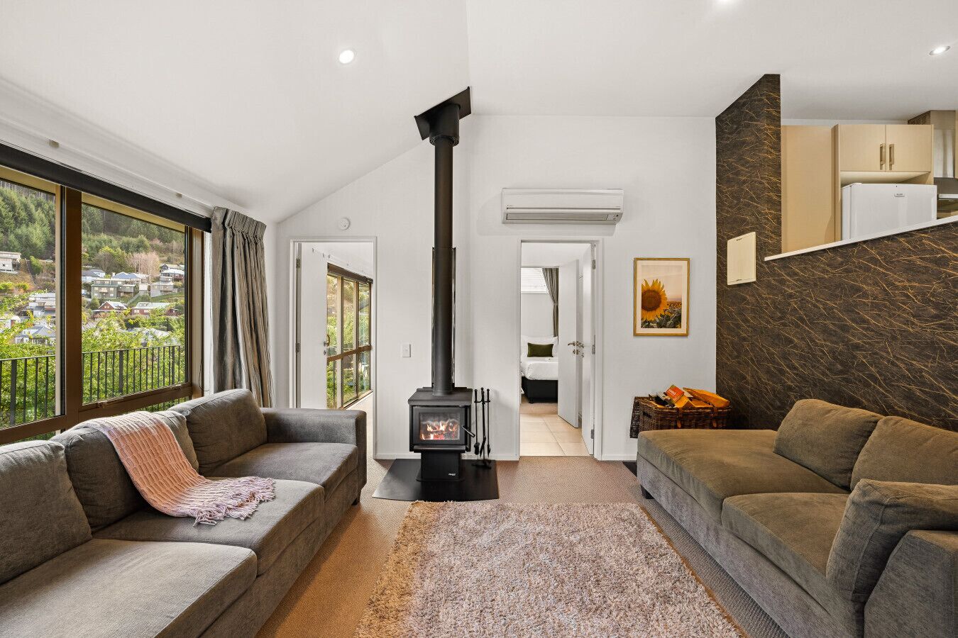 Smart TV, fireplace, books