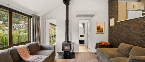 Smart TV, fireplace, books