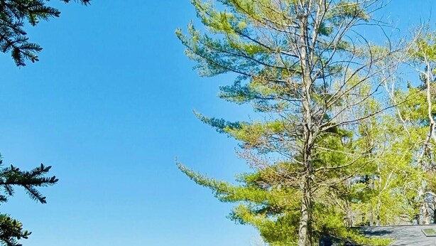 A lakeside property with a grassy lawn, a swing set, and a dock extending into the water. - Waterfront Cabin on Paradise Lake near Mackinaw City. downtown & ferry docks. (Carp Lake)