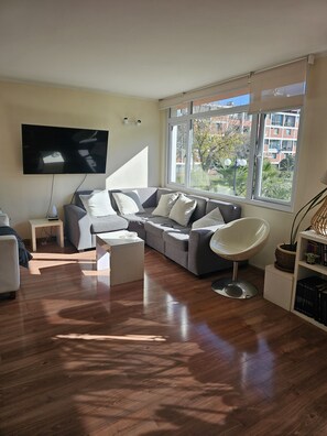 TV - Private Room in Providencia (Providencia)