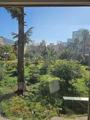 Vista desde la propiedad