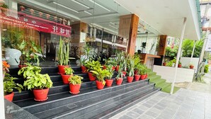 Entrada de hotel con escalones que llevan a una zona de recepción, rodeada de plantas en macetas.