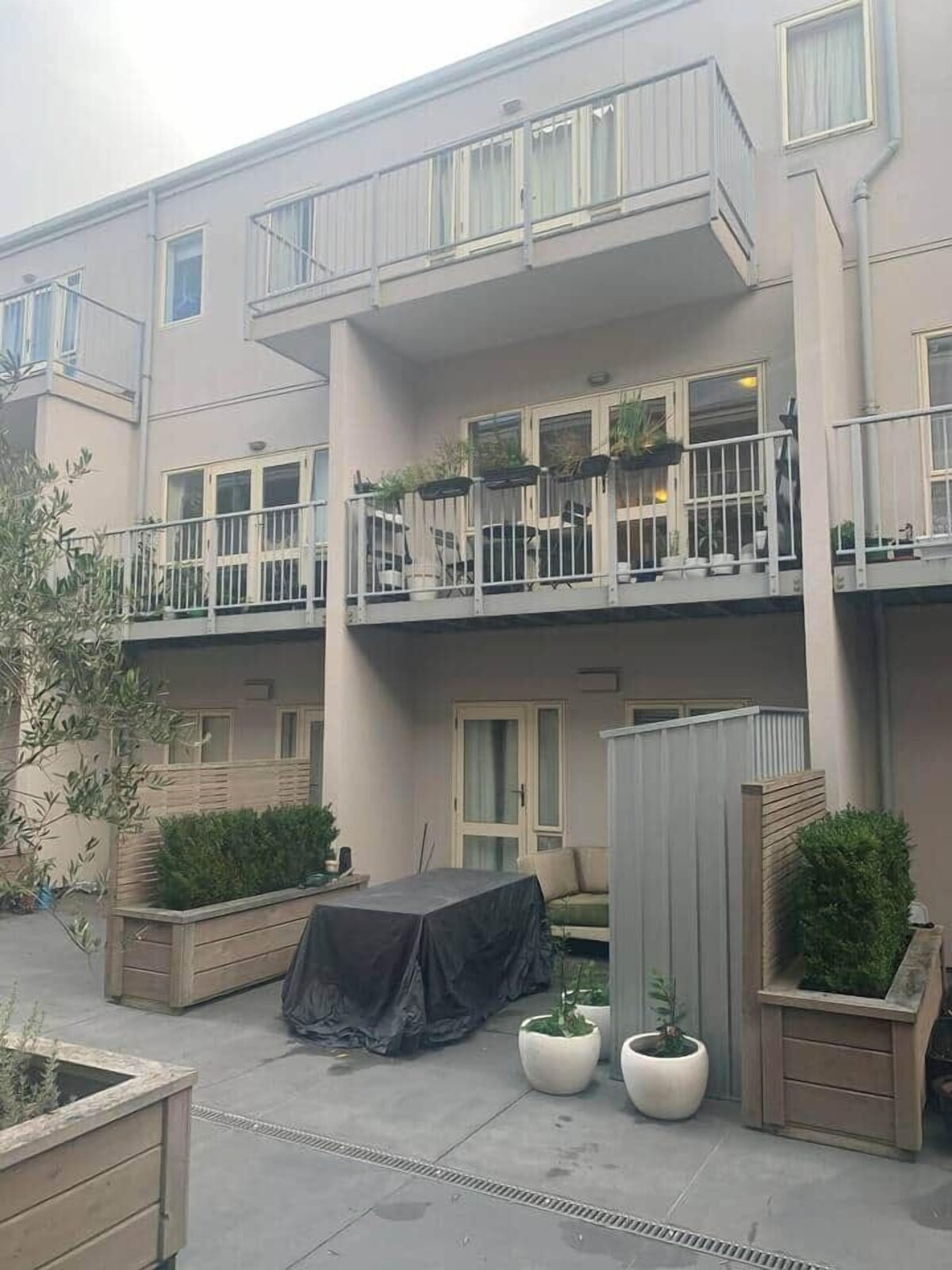 Image de profil de l’hôte