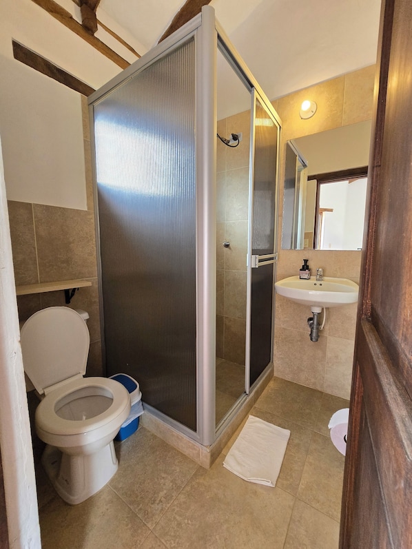 Un baño con inodoro, ducha y lavamanos.