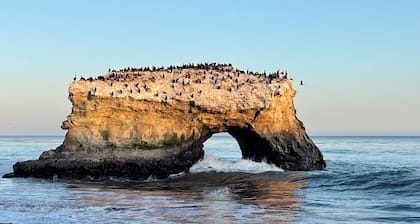 Cool 2-bedroom house in Santa Cruz a few blocks from beach.