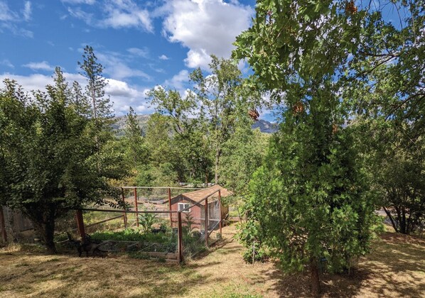 Standard Room, 1 Queen Bed, Mountain View | Garden view