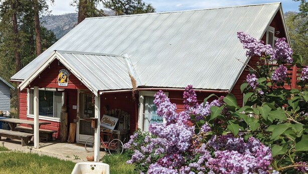 A rustic cabin with a metal roof, a porch, and a sign indicating it is a guesthouse. - Jackass Hostel (North Fork)