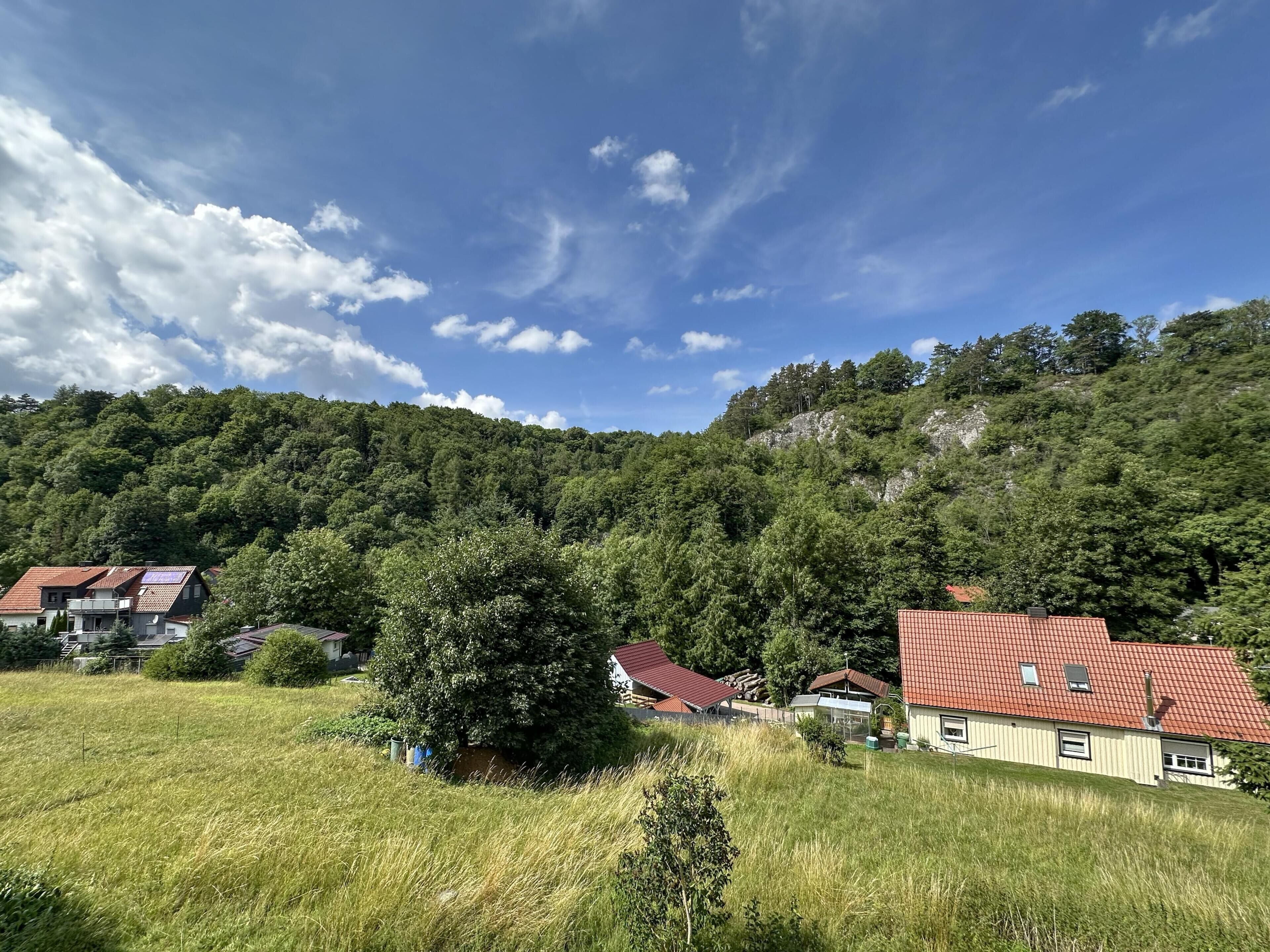 A rural landscape with houses, a large tree, and a hill with dense forest.
