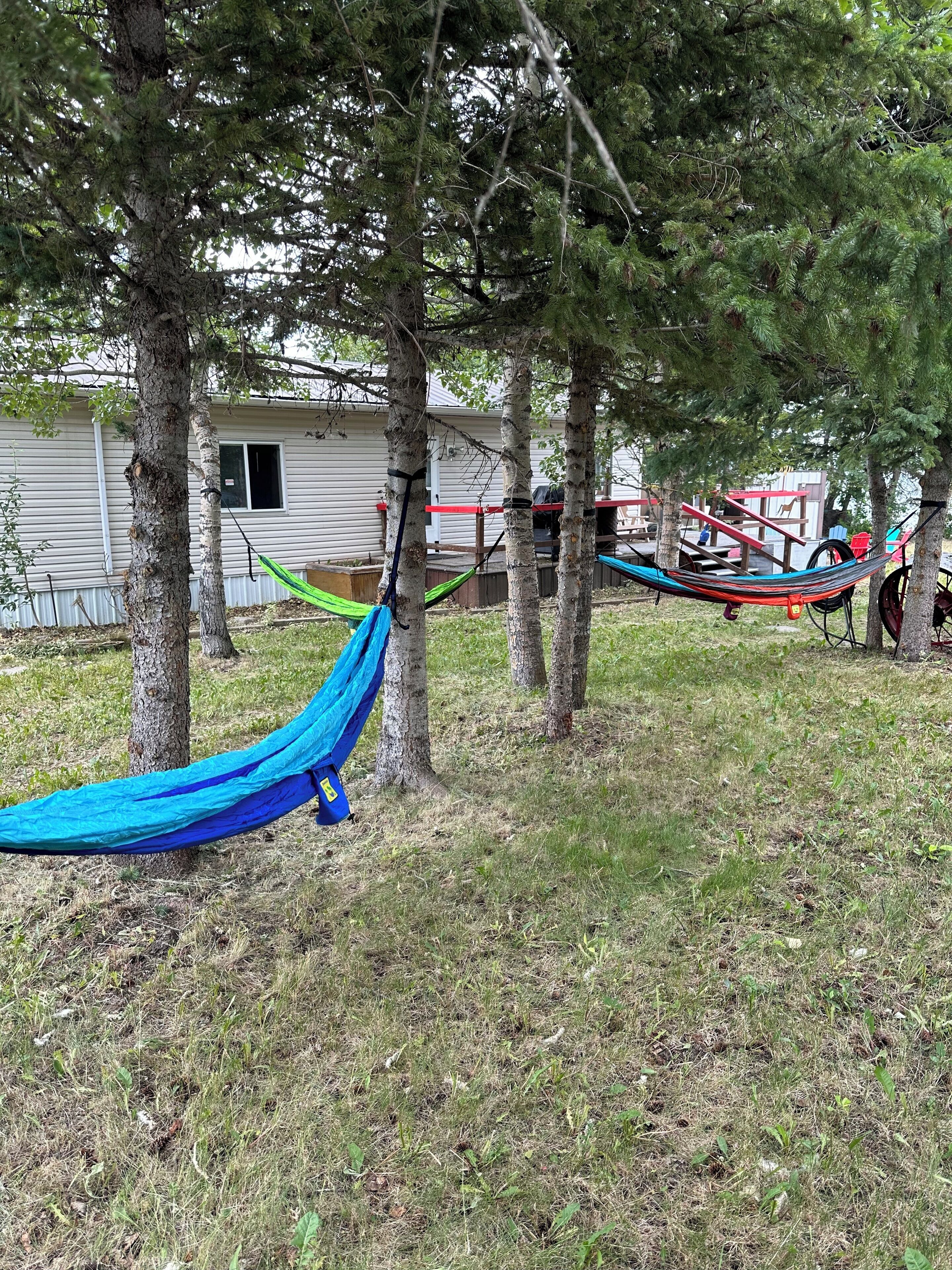 Overnattingsstedets uteområder