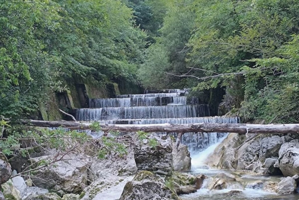Image de profil de lâhĂŽte