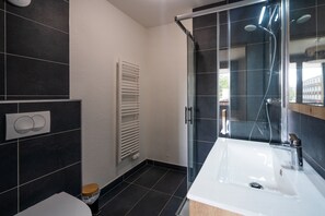 A modern bathroom with a glass shower enclosure, a white sink, and a toilet.