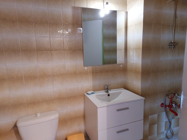 Un baño con inodoro, lavabo, espejo y ducha.