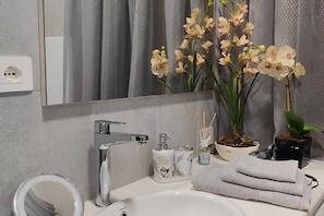 Shower, hair dryer, bidet, towels