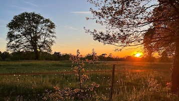 A sunset over a grassy field with a large tree and a fence in the foreground.
