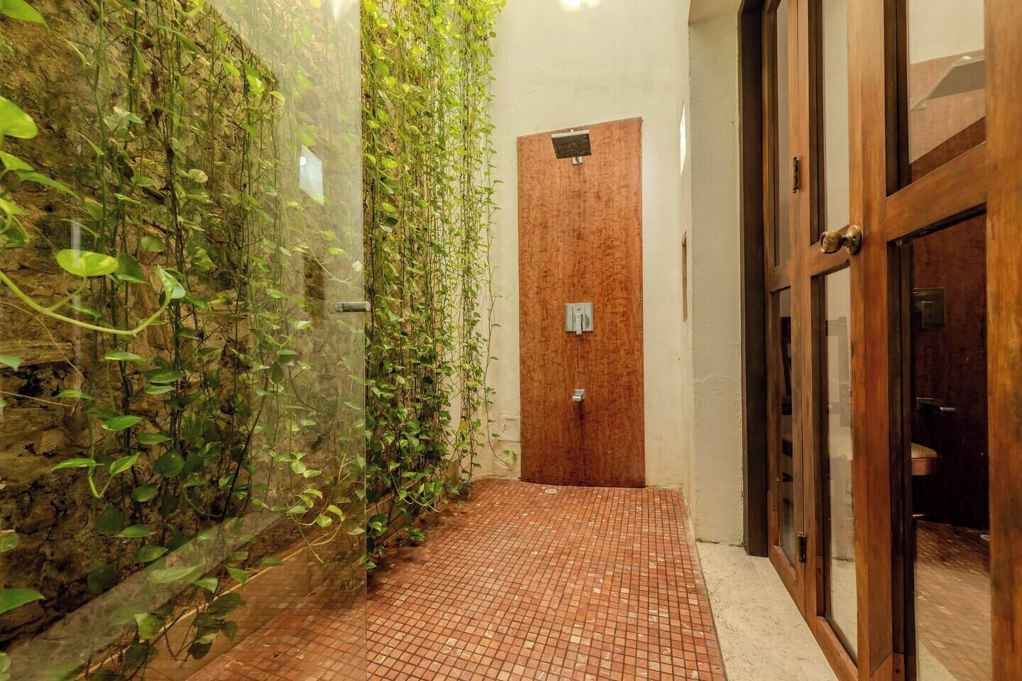 A narrow hallway with a brick floor, a wooden door, and a wall covered with climbing plants.