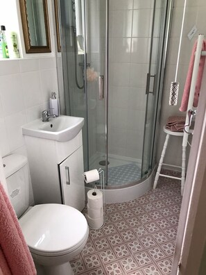 Shower, hair dryer, towels, soap - Self-contained Annexe in Norfolk Broads. Quiet getaway for one or two. (Ormesby St Margaret)