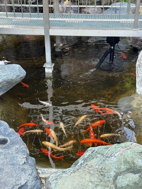 Bagian depan properti