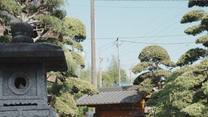 Un jardín japonés tradicional con faroles de piedra, un sendero de grava y una puerta de madera.