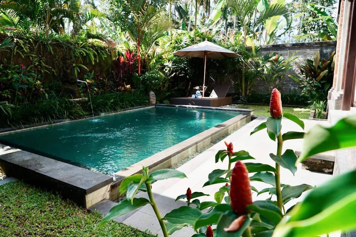 A rectangular pool with a stone border, surrounded by lush tropical vegetation and a stone wall.