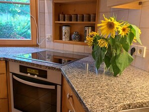 Horno y lavavajillas 