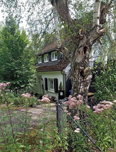 Ferienhaus Fuchs&Hase; für alle, die Ruhe und Privatsphäre in der Natur suchen