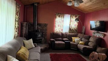 TV, fireplace, books
