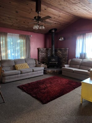 TV, fireplace, books