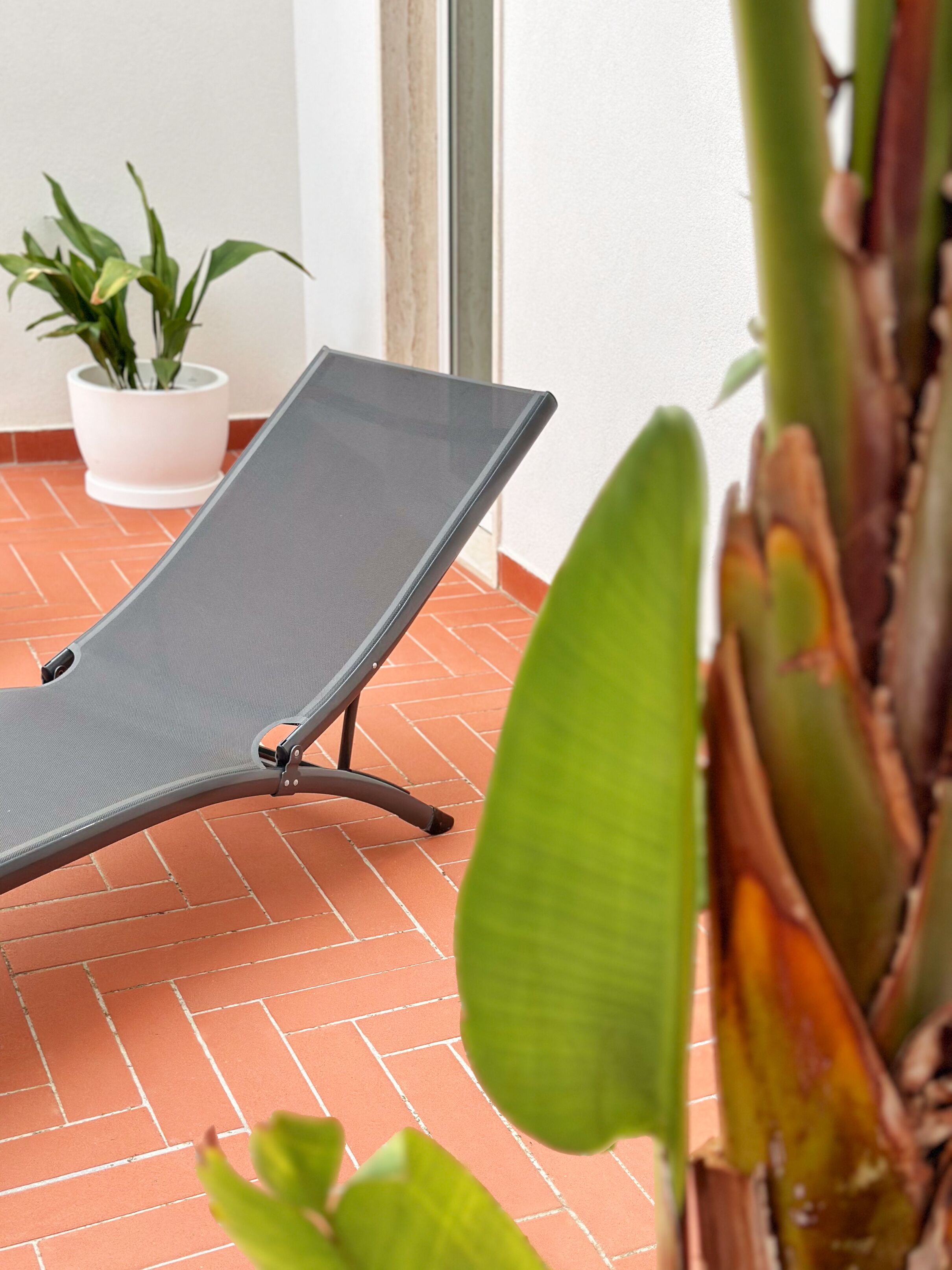 Una silla de lounge en un patio empedrado con una planta en maceta al fondo.