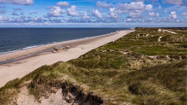Et kystlandskab med en sandstrand, græsdyner og en klar himmel.