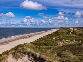 Un paisaje costero con una playa de arena, dunas cubiertas de hierba y un cielo despejado.