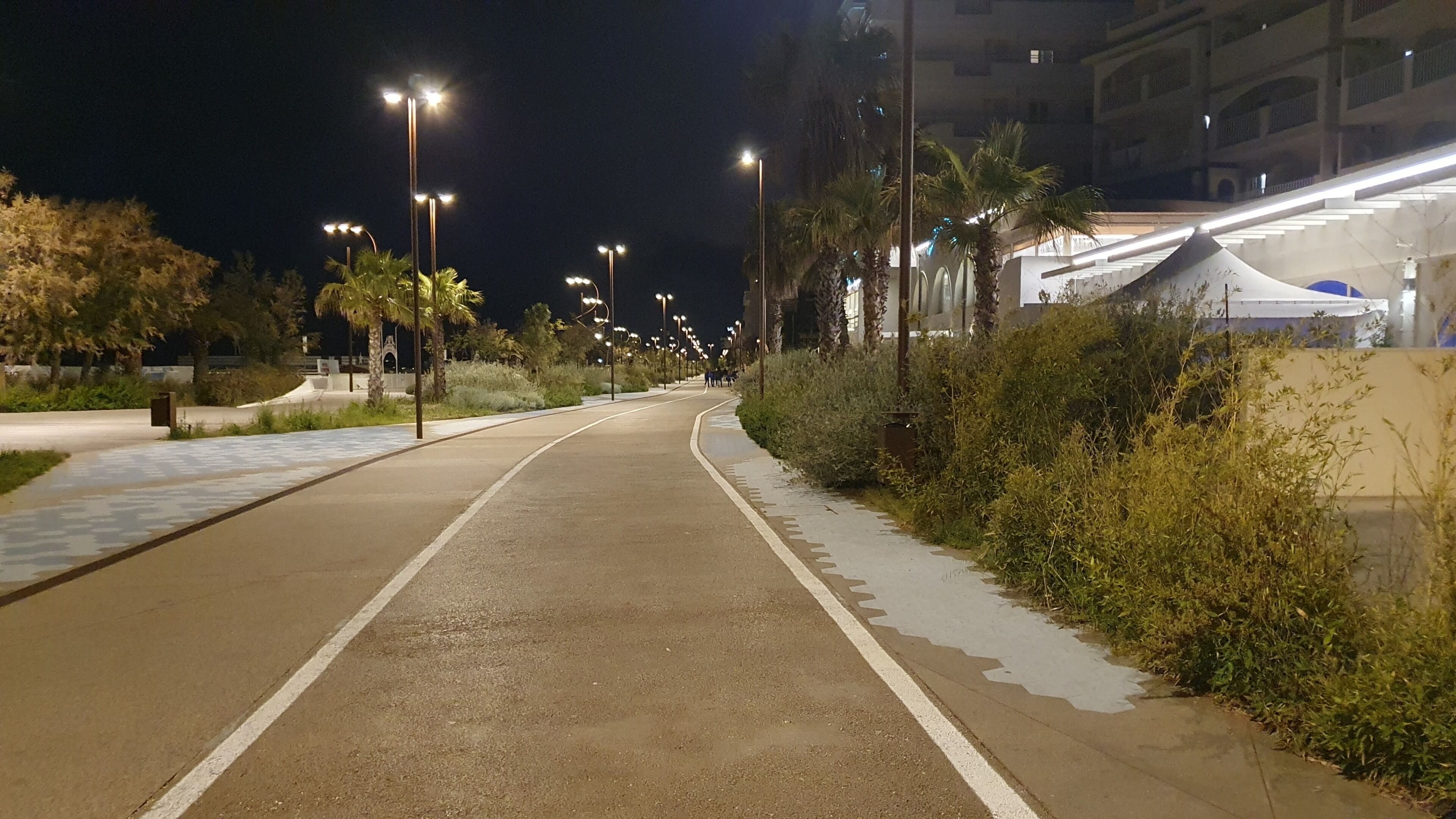 A nighttime pathway with street lamps, palm trees, and a building with a white tent-like structure on the right.