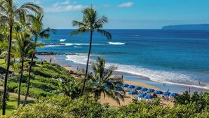 A beach with palm trees, a clear blue sky, and the ocean.