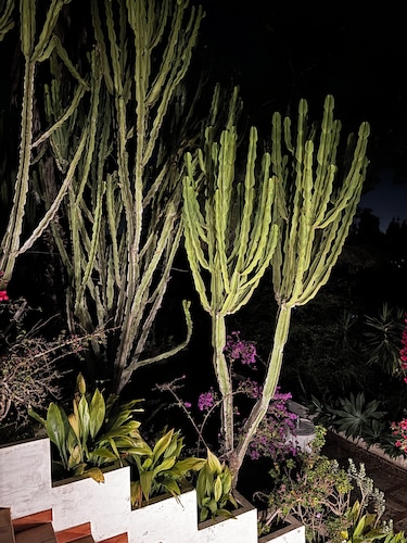 Apartment in a peaceful setting in Jesus, Ibiza yet close to the action