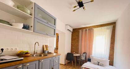 Charming studio with AC in old city center from lovely Sibiu