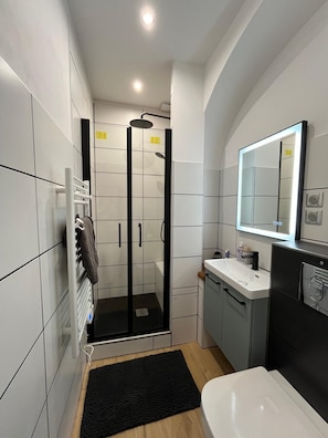 Hair dryer, towels, toilet paper