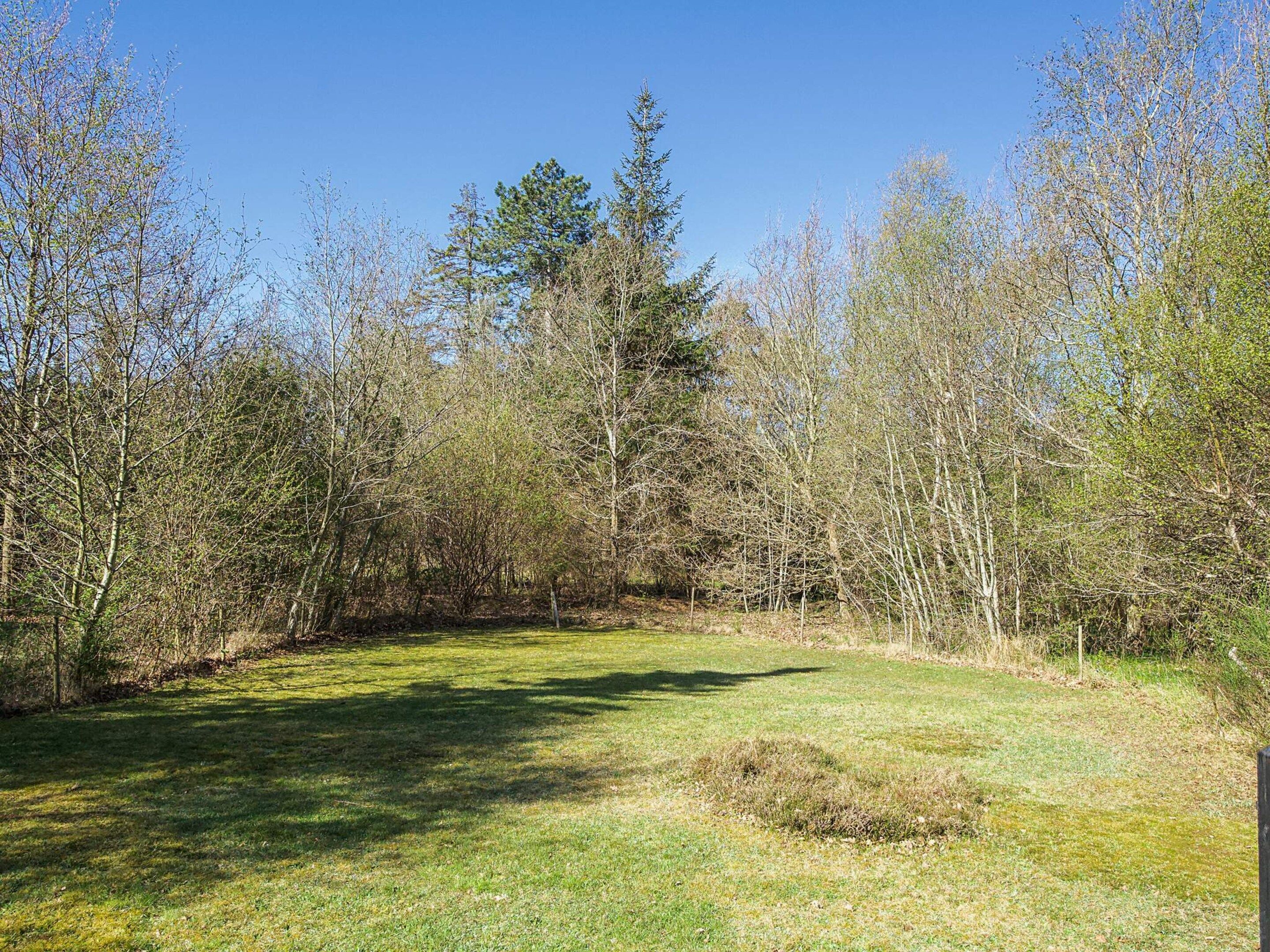 Eine natürliche Landschaft mit einer grasbewachsenen Fläche und Bäumen.