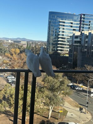 Balcony view