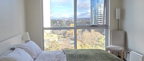 Iron/ironing board, free WiFi