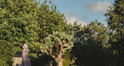 Charming farmhouse nestled in the Iblea countryside. Pet Friendly