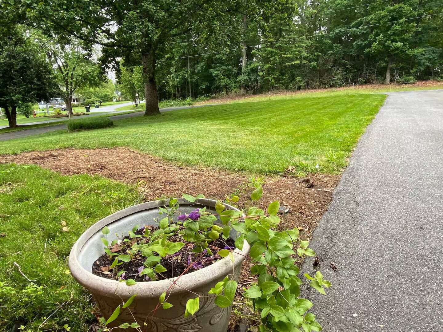 Área da propriedade