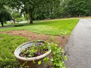 Área da propriedade